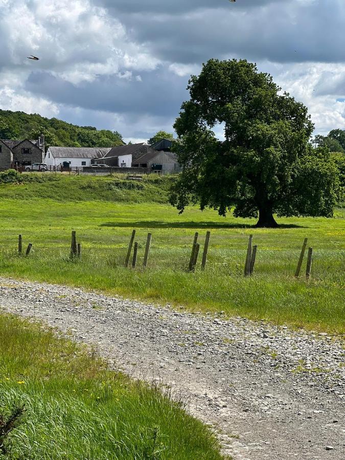 Cwmgwn Farm Apartment Llandovery Exterior photo